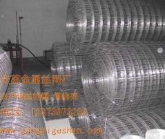 天英金屬絲網(wǎng)廠 專業(yè)鋼絲格柵網(wǎng)與軟基加固解決方案